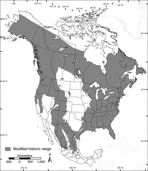 Black Bear Habitat Map