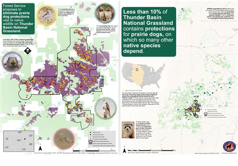 Thunder Basin National Grassland | Defenders of Wildlife