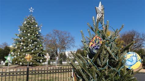 100 Years of the National Christmas Tree | National Park Foundation