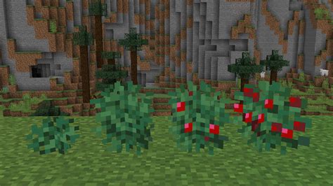 How to find and grow Sweet Berries in Minecraft - Gamepur