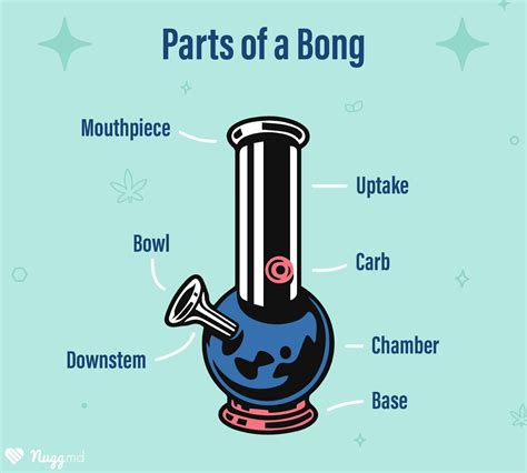How to Use a Bong for the First Time | NuggMD
