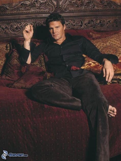 Seeley Booth Quotes. QuotesGram