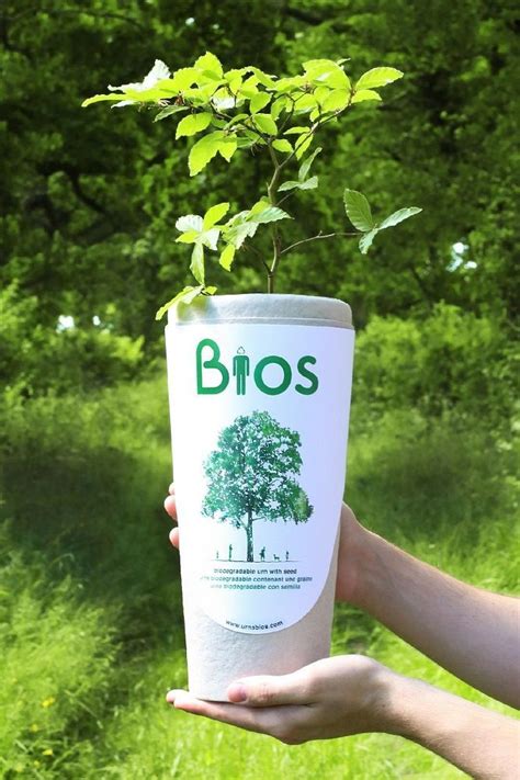 Bios Biodegradable Urn Remembers Your Loved Ones