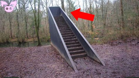 Stairs in the Woods Phenomenon Is Freaking People Out - YouTube