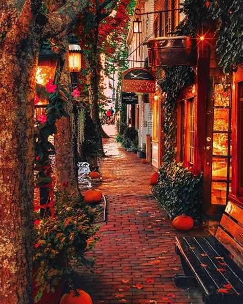 Nantucket in the fall | Autumn scenery, Beautiful places, Autumn photography