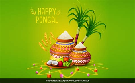 Happy Pongal 2022: Here's Are Wishes, Greetings, Quotes, WhatsApp ...