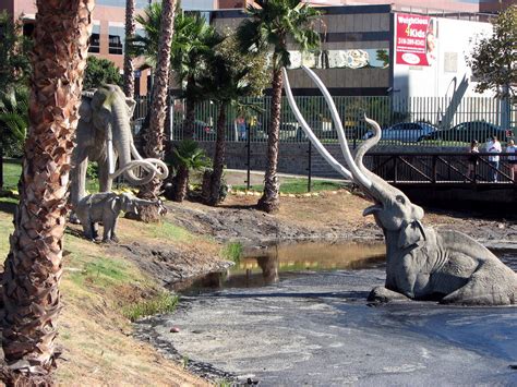 La Brea Tar Pits