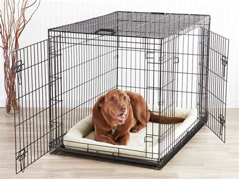 How Can You Crate Train Your Puppy Fast? | Big dog crates, Large dog crate, Dog crate