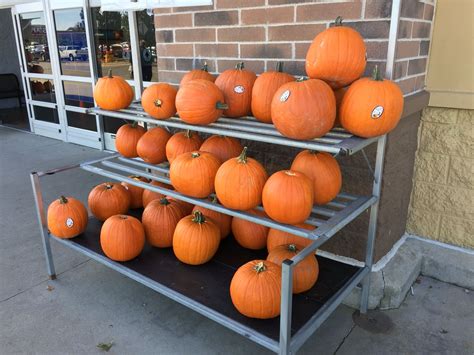 Pumpkin Halloween Walmart | Halloween pumpkins, Pumpkin, Halloween