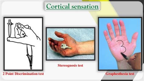 Physiology (sensory examination tests)