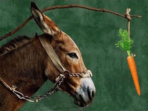 Carrot and Stick Approach - HollyrosSimon