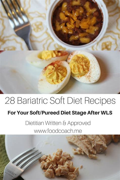 Soft and Pureed Recipes After Bariatric Surgery - | Pureed food recipes ...