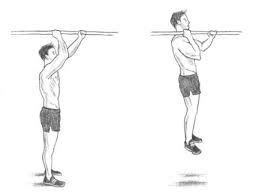 Commando Pull Ups Muscles Worked