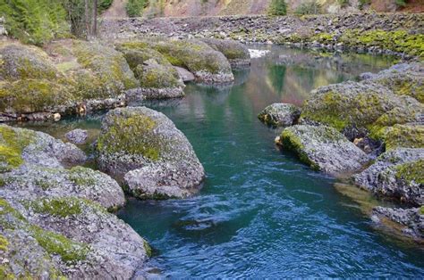 Hike of the Month: Clackamas River Trail - Trailkeepers of Oregon