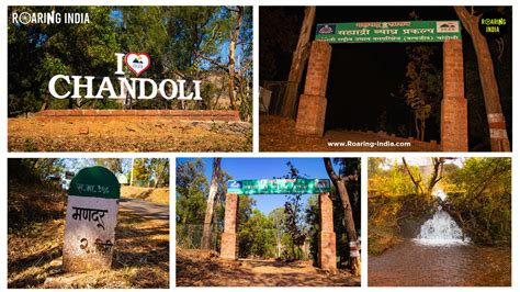 Chandoli National Park, Warana Dam, Maharashtra - Roaring India Tourism