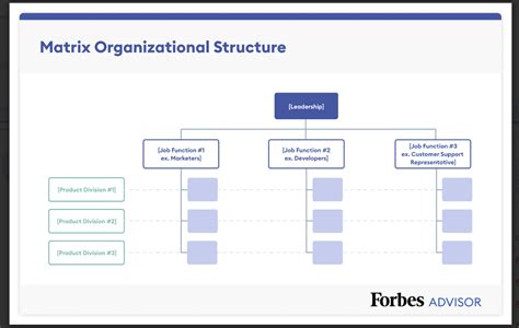 7 Organizational Structure Types (With Examples) – Forbes Advisor