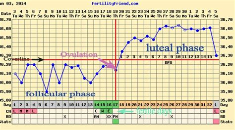 How To Read Bbt Chart For Ovulation