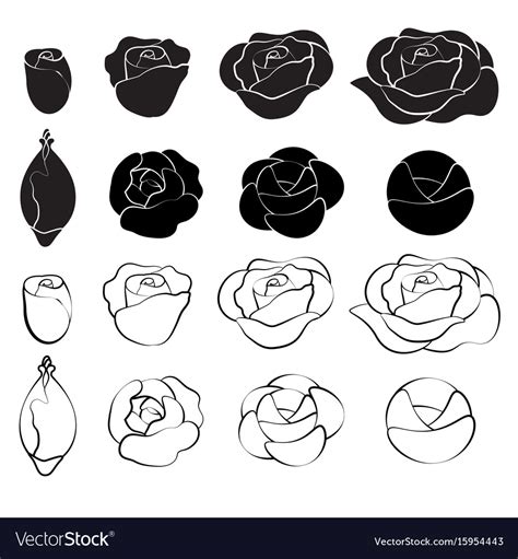 Black Rose Drawing Photo : Rose drawings are just as enthralling and as ...