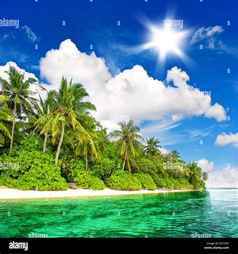 landscape of tropical island beach with palm trees and sunny blue sky ...