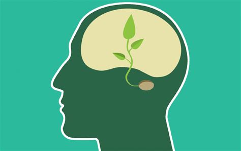 What is Environmental Psychology? | Lee Chambers | leechambers.org