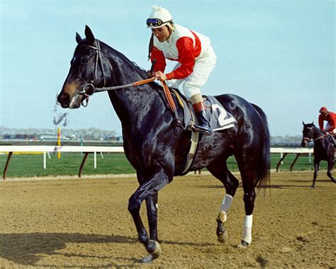 Ruffian: Racing's Greatest Filly! ~ Thoroughbred Greats