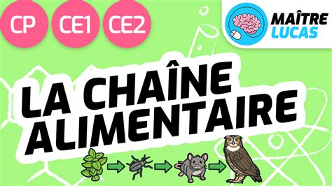 Les Familles D'aliments CP CE1 CE2 Cycle Questionner Le, 57% OFF