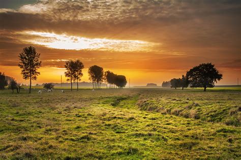 Image libre: pâturage, lever du soleil, ferme, paysage, arbre, aube, nature, soleil, herbe, Grange