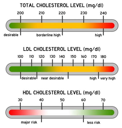 35 Ways to Lower Cholesterol Naturally - VIP Health and Laser Clinic Gainesville, FL