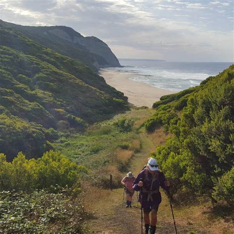 Guided Walk | Great Ocean Road | Twelve Apostles Apollo Bay Trek