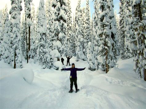 10 Winter Activities You Must Do in Canada