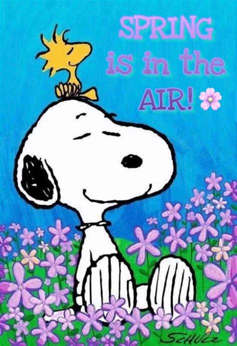 🌸 #SpringIsInTheAir 🌸 | Snoopy birthday, Snoopy birthday images, Happy ...