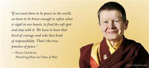 The Pema Chodron Foundation - The Buddhist Contemplative Tradition