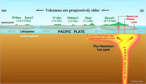 Hawaiian Hot Spot Diagram