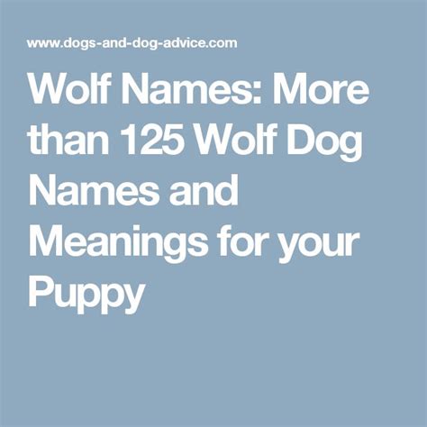 Wolf Names: More than 125 Wolf Dog Names and Meanings for your Puppy ...