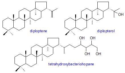 Hopanoids - Alchetron, The Free Social Encyclopedia