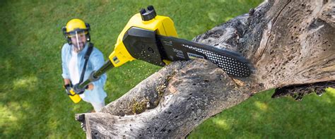 Perfect tree-cutting: When and how? | Kärcher UK