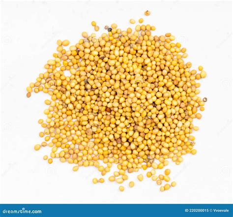 Pile of Yellow Seeds of Brassica Juncea Mustard Stock Image - Image of ...