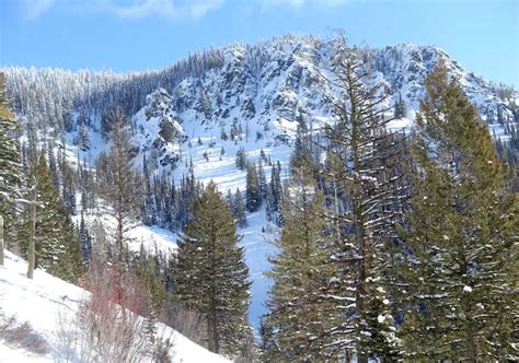 Montana Snowbowl Ski Resort Review