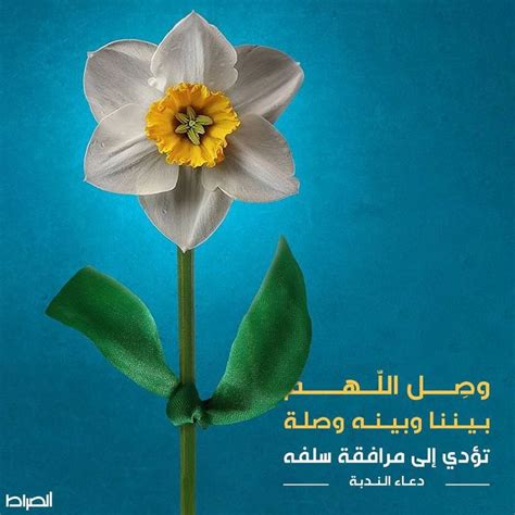 a white flower with a yellow center and green leaves in arabic writing ...