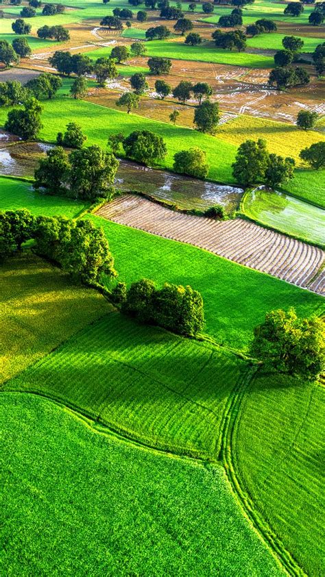 Aerial view of rice fields in Mekong Delta, Tri Ton town, An Giang province, Vietnam | Windows ...