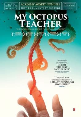 My Octopus Teacher - Wikiwand