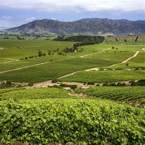 Top Chilean wine regions to visit in 2024 | Winetourism.com