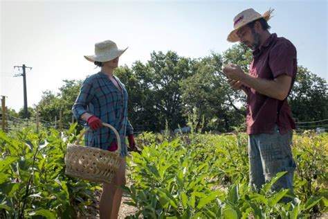 French farm aims to grow new crop of farmers