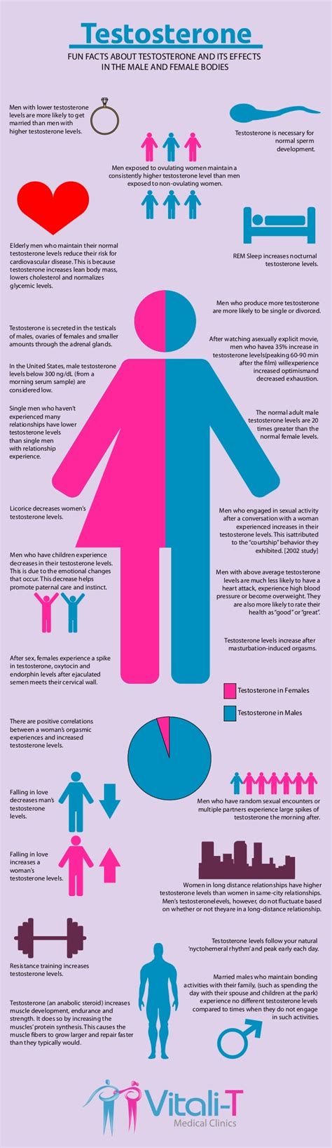 Testosterone Infographic