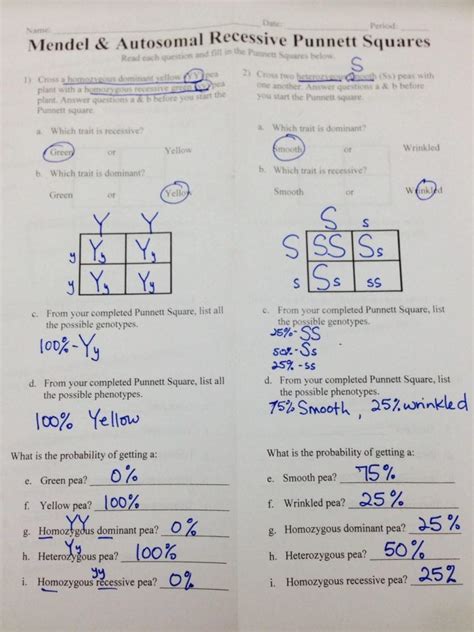 Worksheet On Punnett Squares