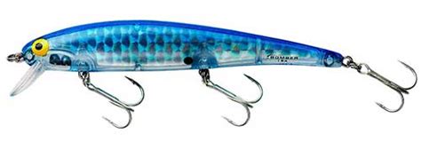 17 Best Hybrid Striped Bass Lures | By Captain Cody