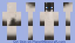 siamese cat! Minecraft Skin