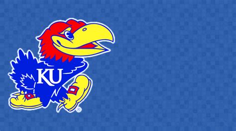 Kansas Jayhawks Football 2024 - Morna Tiertza