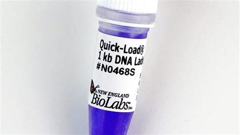 New England Biolabs (UK) Ltd - Quick-Load ® 1 kb DNA Ladder