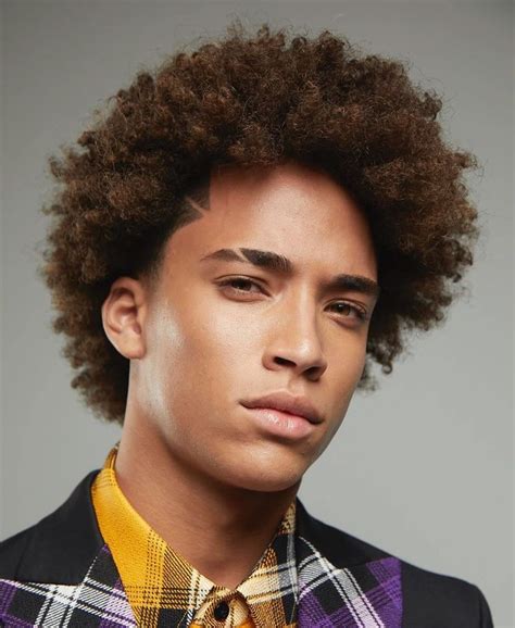 Top Afro Hairstyles for Men (Visual Guide) | Afro hairstyles men, Afro hairstyles, Curly hair styles